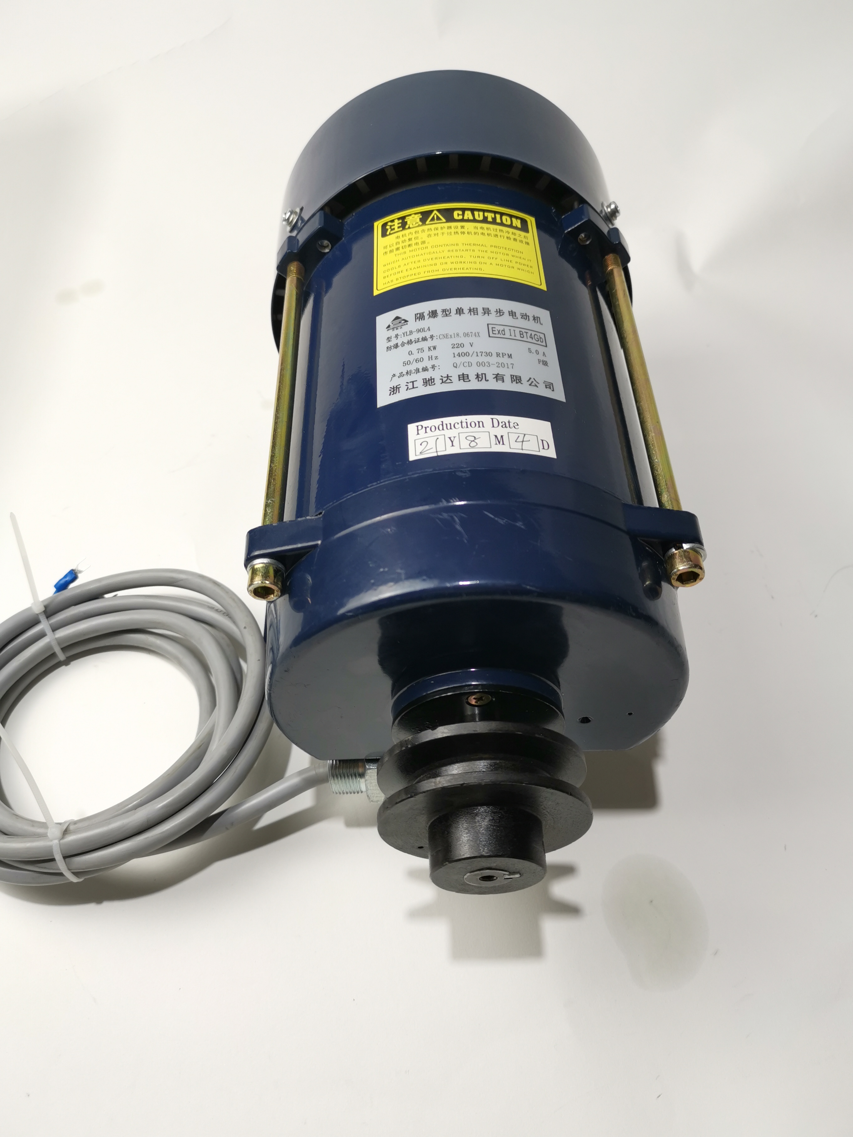 주유소를 위한 Ecotec 고품질 Atex 모터 단일 위상 모터 
