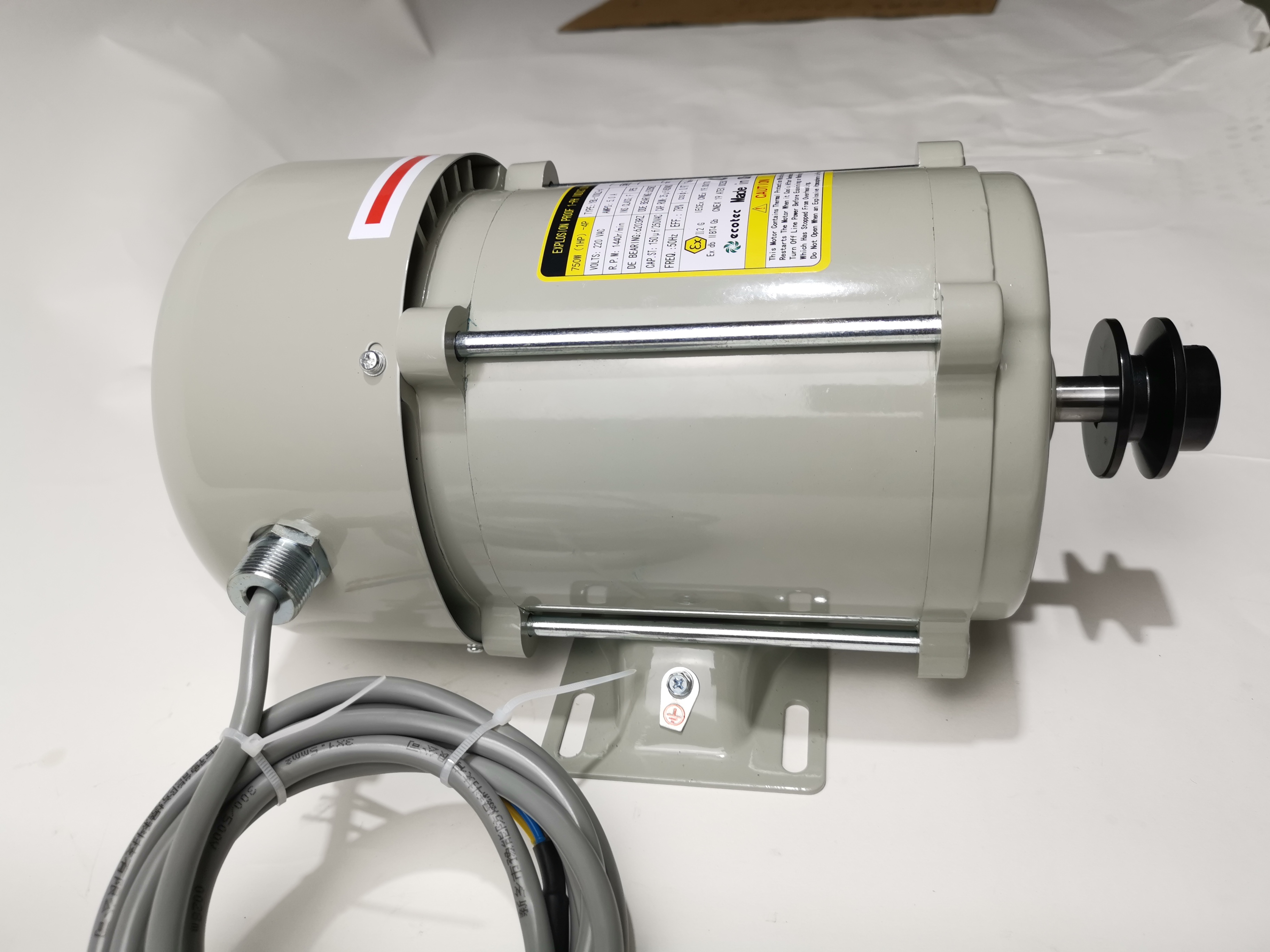 Ecotec Hot Sale 220V Grey Motor ម៉ូទ័រដែលមានគុណភាពខ្ពស់សម្រាប់ធុងសាំង
