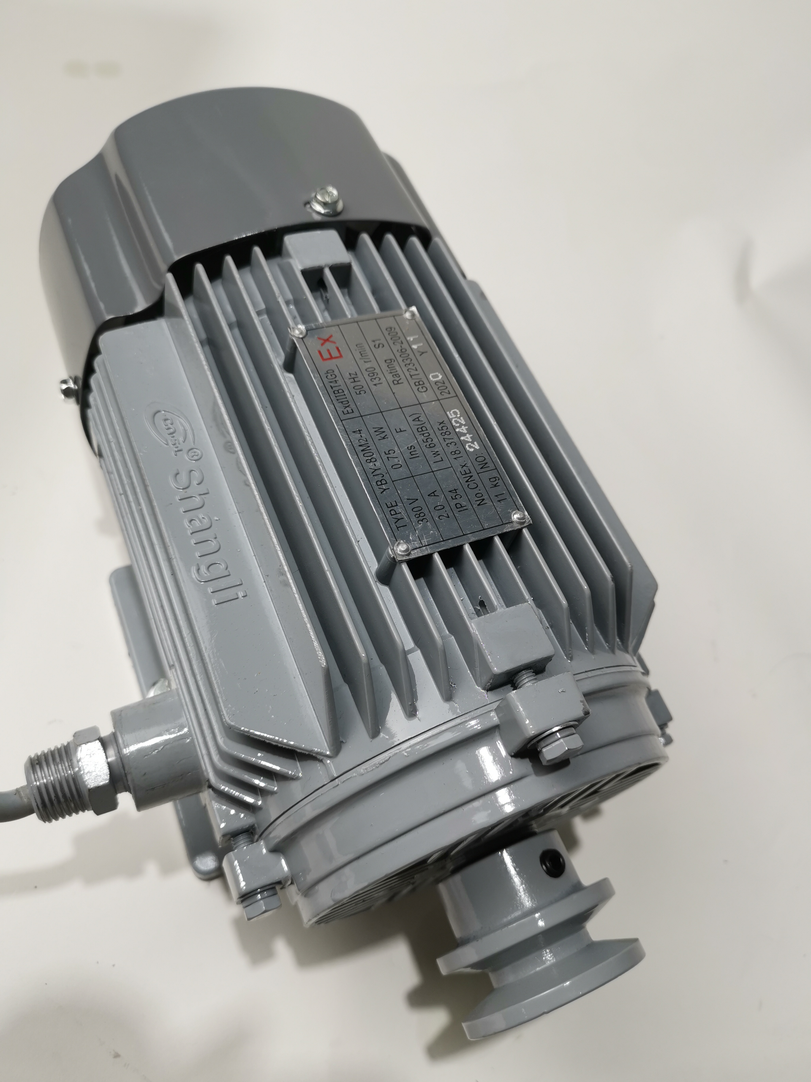 موتور 3 فاز اکوتک موتور آتکس موتور ارزان برای پمپ بنزین