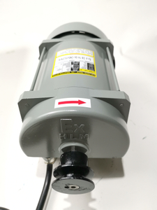 موتور تکفاز بنزین Ecotec Atex برای پمپ بنزین