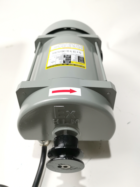 Ецотец Атек мотор за дозирање горива једнофазни мотор за бензинску пумпу