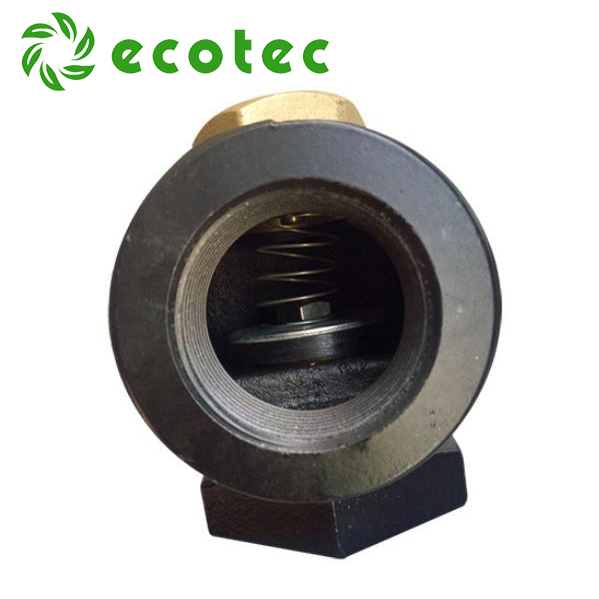 Ecotec Hot Sale 1.5 Inch Check Valve Angle Valve na may Bspt Thread