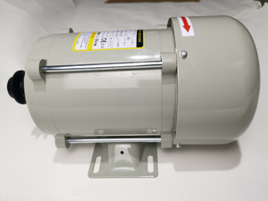 Jualan Panas Ecotec Motor Kelabu 220V Motor Berkualiti Tinggi untuk Dispenser Bahan Api