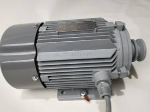 Ecotec Motor 3 Fasa Motor Atex Motor Murah Untuk Stesen Minyak