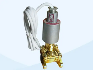 Ecotec DN20 Solenoid Valve mo te Kaihoko Puawai Teihana Hau